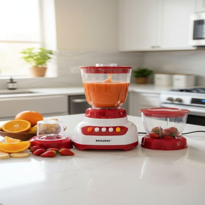 Noah 3 in 1 Blender